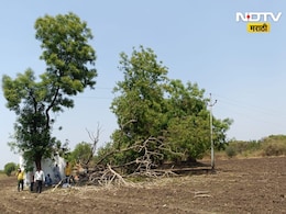 Wardha News: देवीला नैवेद्य नेताना विपरित घडलं, आई वडिलांच्या डोळ्यादेखत चिमुकलीचा दुर्दैवी अंत, हृदयद्रावक घटना