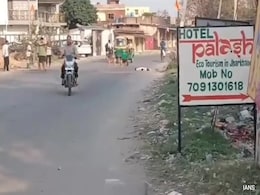 Man Shoots Dog With Rifle On Busy Road In Ranchi, Arrested Man Shoots Dog With Rifle On Busy Road In Ranchi, Arrested