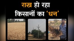 Fire in Farm: खेत में खड़ी फसल हो गई जलकर खाक, सामने निकलकर आई ये वजह