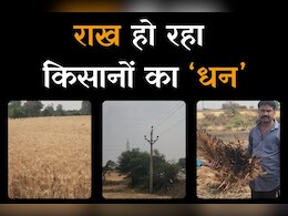 Fire in Farm: खेत में खड़ी फसल हो गई जलकर खाक, सामने निकलकर आई ये वजह Fire in Farm: खेत में खड़ी फसल हो गई जलकर खाक, सामने निकलकर आई ये वजह