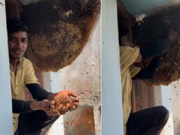 यमराज इसके अंडर काम करते हैं... शख्स ने छत्ते में हाथ डालकर निकाली मधुमक्खियां, फिर जो हुआ, हिल जाएंगे आप यमराज इसके अंडर काम करते हैं... शख्स ने छत्ते में हाथ डालकर निकाली मधुमक्खियां, फिर जो हुआ, हिल जाएंगे आप