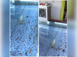 कमरे में शख्स ने बना दिया Fish Aquarium, मछलियों के लिए लगाया कूलर कमरे में शख्स ने बना दिया Fish Aquarium, मछलियों के लिए लगाया कूलर