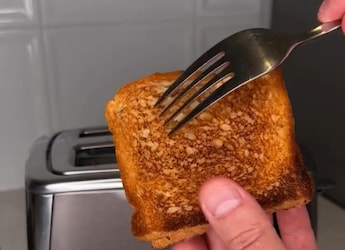 Viral Video Shows Vlogger  Viral Video Shows Vlogger