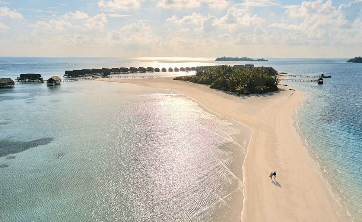 Latest and Breaking News on NDTV