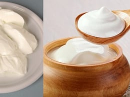 गर्मियों में दही है सेहत और सुंदरता का खजाना, जानें इसके अनमोल फायदे