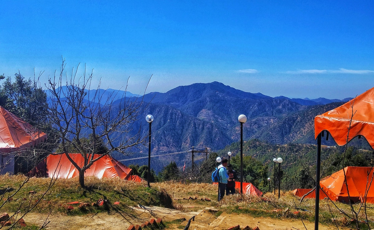 Kanatal. Photo: Unsplash Kanatal. Photo: Unsplash