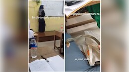 चलती क्लास में पोटली के अंदर से स्टूडेंट ने निकाला जहरीला सांप, फेंका क्लासमेट के ऊपर, देखें VIDEO