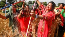 Is Baisakhi Today Or Tomorrow? Check Date, History, Significance And Celebrations