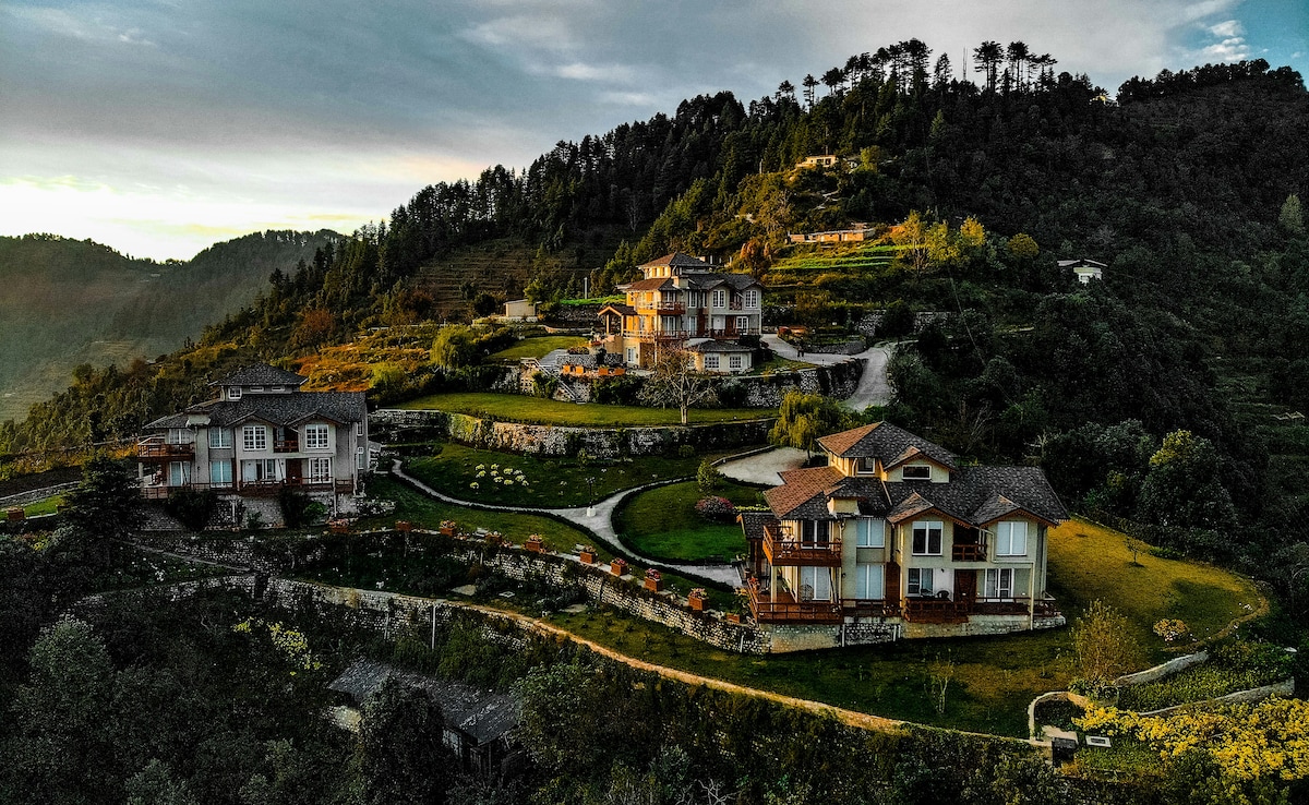 Kanatal. Photo: Unsplash Kanatal. Photo: Unsplash