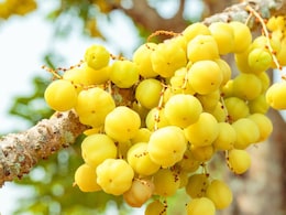 Star Gooseberry Benefits: स्वाद के साथ गुणों का खजाना 'स्टार गूजबेरी', कुदरत का है वरदान, जानिए चमत्कारी फायदे