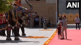 Watch: Elephants Chanda And Pushpa Welcome JD Vance, Family At Amer Fort