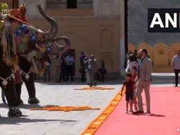 Watch: Elephants Chanda And Pushpa Welcome JD Vance, Family At Amer Fort Watch: Elephants Chanda And Pushpa Welcome JD Vance, Family At Amer Fort