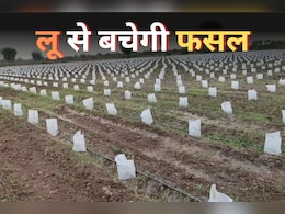 Summer Farming Techniques: फसल को तेज लू से बचाने के लिए अपना रहे आधुनिक तकनीक, किसान कर रहे इस खास कपड़े का इस्तेमाल Summer Farming Techniques: फसल को तेज लू से बचाने के लिए अपना रहे आधुनिक तकनीक, किसान कर रहे इस खास कपड़े का इस्तेमाल