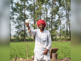 बिना ब्याज के लोन लेकर संपन्न हो रहे किसान, फसल बेचकर वापस कर देते पैसा; जानिए कैसे मिल रही मदद बिना ब्याज के लोन लेकर संपन्न हो रहे किसान, फसल बेचकर वापस कर देते पैसा; जानिए कैसे मिल रही मदद