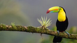 World Earth Day 2025: 12 Destinations Leading The Way In Responsible Travel