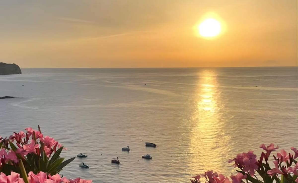 Bada Talab. Photo: Instagram/thebhopal Bada Talab. Photo: Instagram/thebhopal