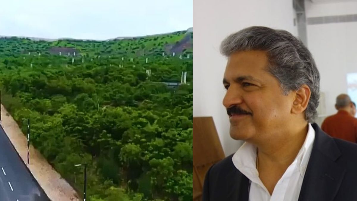 Anand Mahindra Celebrates World's Largest Miyawaki Forest In Kutch
