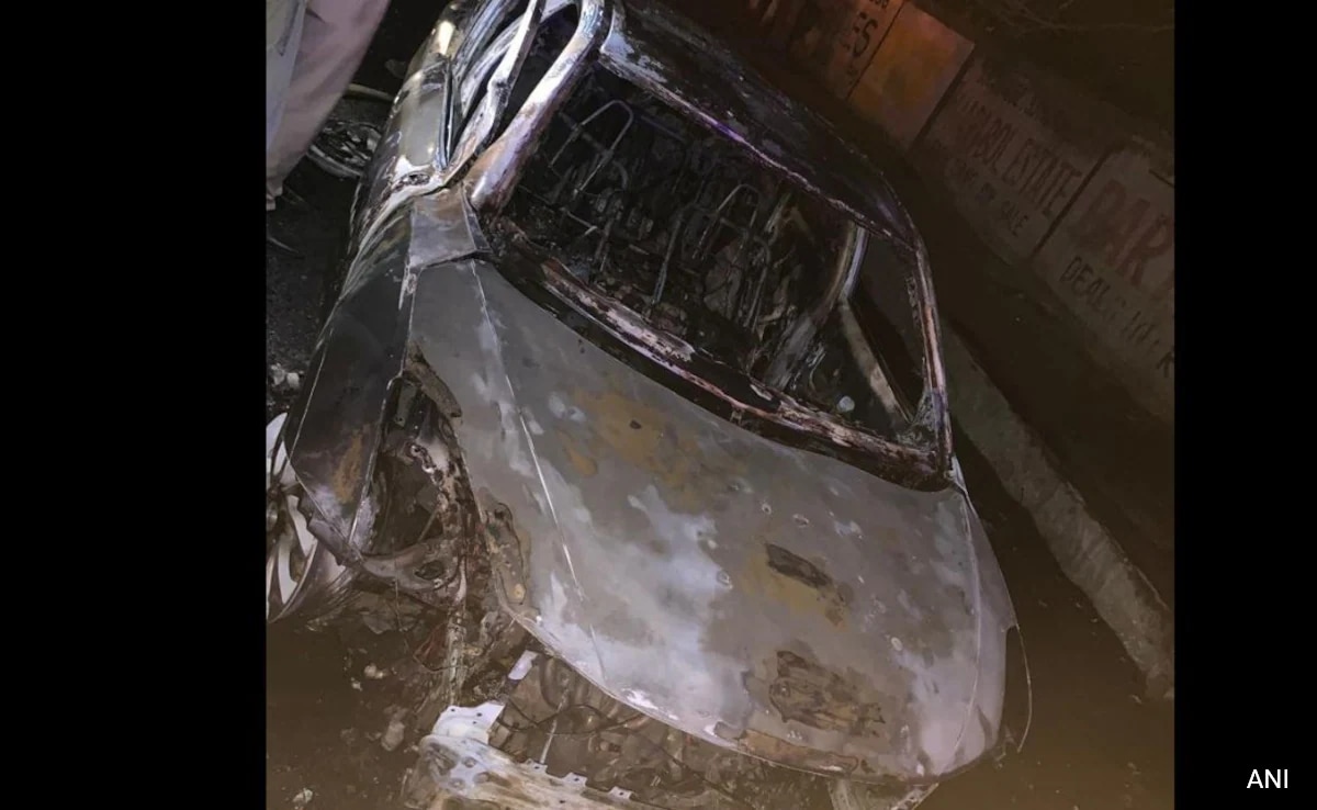 Ню Делхи Лице беше овъглено до смърт след като автомобил