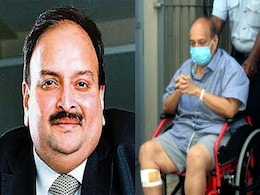India To Use All Legal Tools To Extradite Mehul Choksi From Belgium: Sources India To Use All Legal Tools To Extradite Mehul Choksi From Belgium: Sources