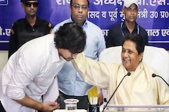 Mayawati's Nephew Akash Anand Seeks Re-Entry Into Party, Apologises Mayawati's Nephew Akash Anand Seeks Re-Entry Into Party, Apologises