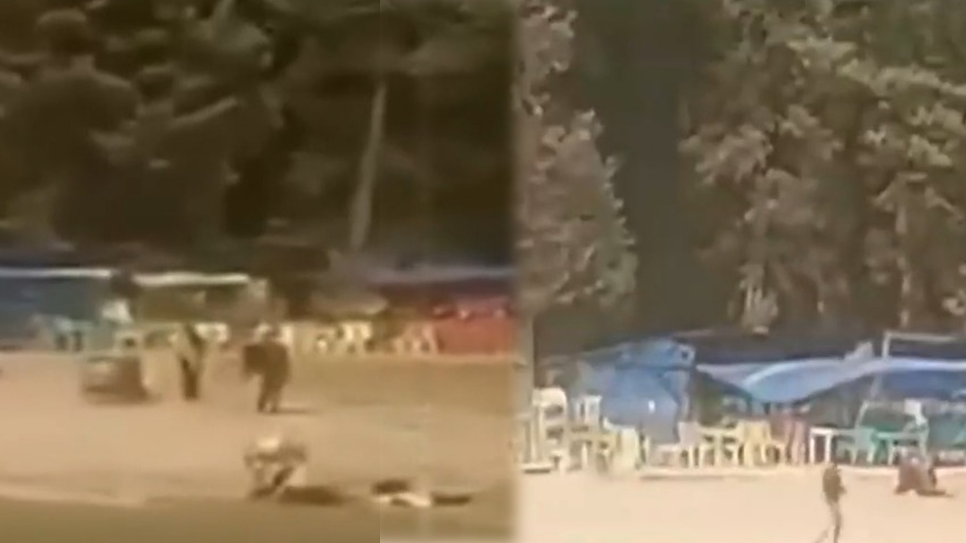 Pahalgam Attack On Camera: Video Captures Horror, Mayhem As Terrorists Targeted Tourists