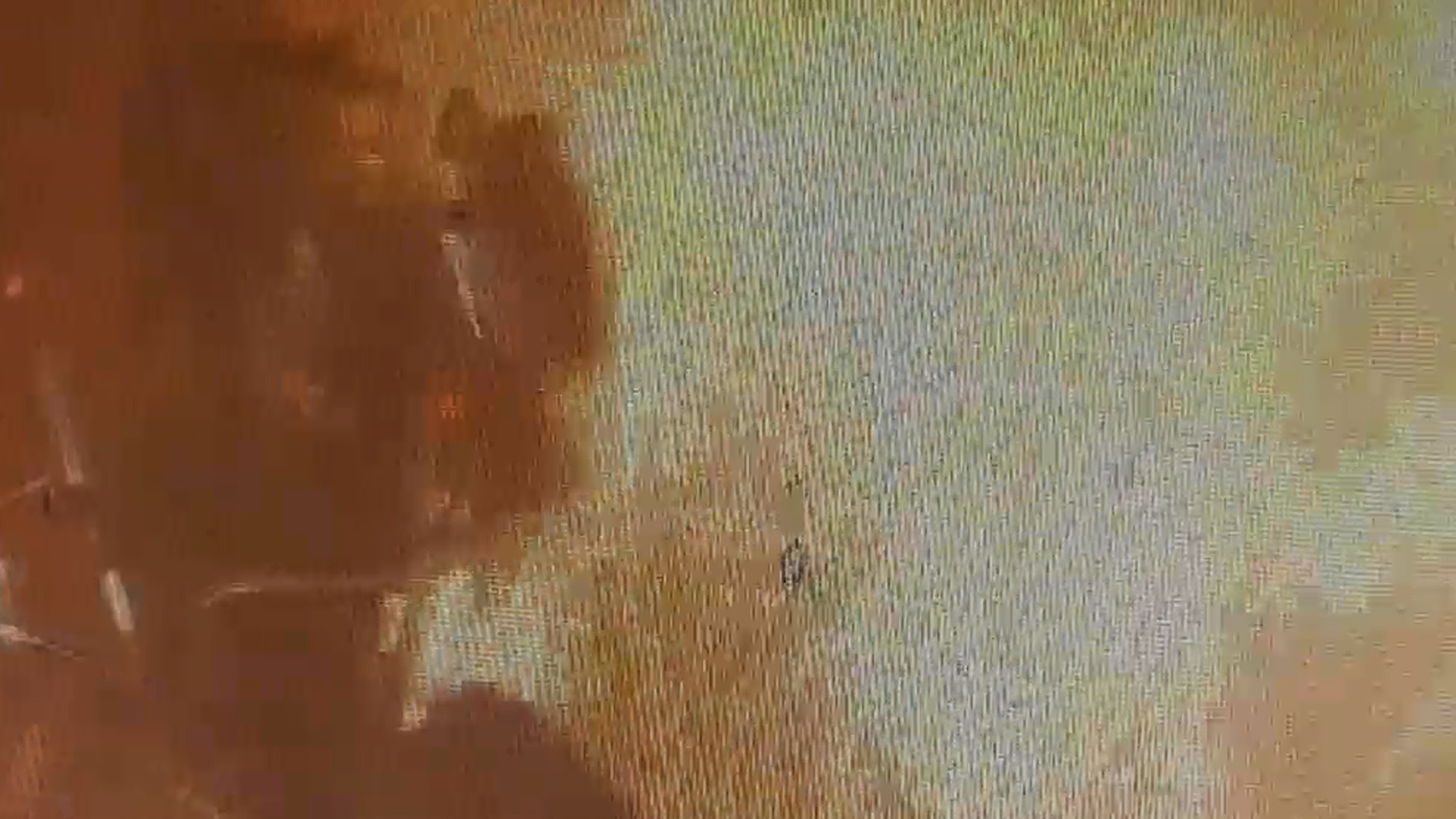 Key Accused in Grenade Blast At Punjab BJP Leader's House Arrested In Delhi