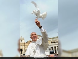 Rahul Gandhi Pays Tribute To Pope, Shares Photo Of Pontiff Releasing Dove Rahul Gandhi Pays Tribute To Pope, Shares Photo Of Pontiff Releasing Dove