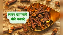 Clove Benefits: महिनाभर रिकाम्या पोटी लवंग चावून खा, कल्पनाही केली नसेल इतके मिळतील चमत्कारिक लाभ