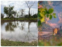 प्यास भी बुझ रही, मौज-मस्ती भी... भीषण गर्मी में वन्यजीवों की प्यास बुझा रहे रिजर्व फॉरेस्ट में बने ये जलाशय प्यास भी बुझ रही, मौज-मस्ती भी... भीषण गर्मी में वन्यजीवों की प्यास बुझा रहे रिजर्व फॉरेस्ट में बने ये जलाशय