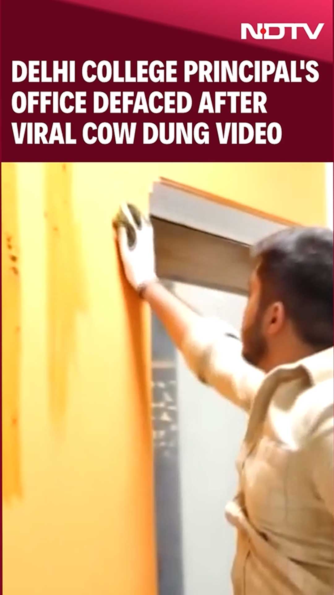 Delhi College Principal's Office Defaced After Cow Dung Video
