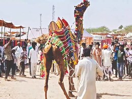 मल्लीनाथ पशु मेला: घोड़ों के शौकीनों के लिए हर साल सजता है मेला, ऊंट की सवारी से लेकर घुड़सवारी तक का लिया मजा मल्लीनाथ पशु मेला: घोड़ों के शौकीनों के लिए हर साल सजता है मेला, ऊंट की सवारी से लेकर घुड़सवारी तक का लिया मजा