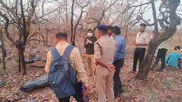 Rajnandgaon: बीच जंगल में फांसी के फंदे से झूलता मिला प्रेमी युगल का शव, जनवरी माह से घर से थे लापता