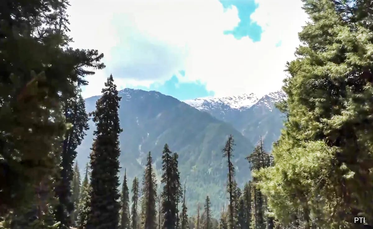 Бързо вземете Резюме е генериран от AI прегледано Newsroom Терористите