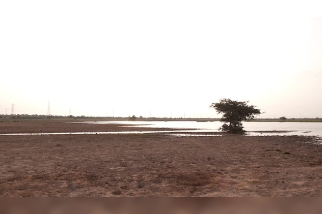 ओरण भूमि का अभी तक कोई राजस्व रिकॉर्ड नहीं है.  ओरण भूमि का अभी तक कोई राजस्व रिकॉर्ड नहीं है.