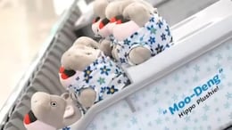 Tourists At Thai Airport Get Moo Deng Hippo-Themed Toys Ahead Of Songkran