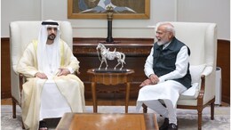 दुबई के क्राउन प्रिंस को पीएम मोदी ने गिफ्ट की महाराणा प्रताप के चेतक की मूर्ति, बताई वीरता की कहानी