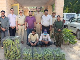जोधपुर में जंगली तोतों की तस्करी का भंडाफोड़, 165 तोते जब्त, दो गिरफ्तार