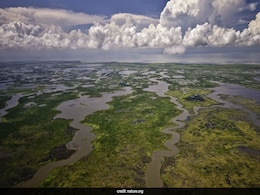 Oil Giant Chevron To Pay $744 Million For Polluting Louisiana Wetlands Oil Giant Chevron To Pay $744 Million For Polluting Louisiana Wetlands