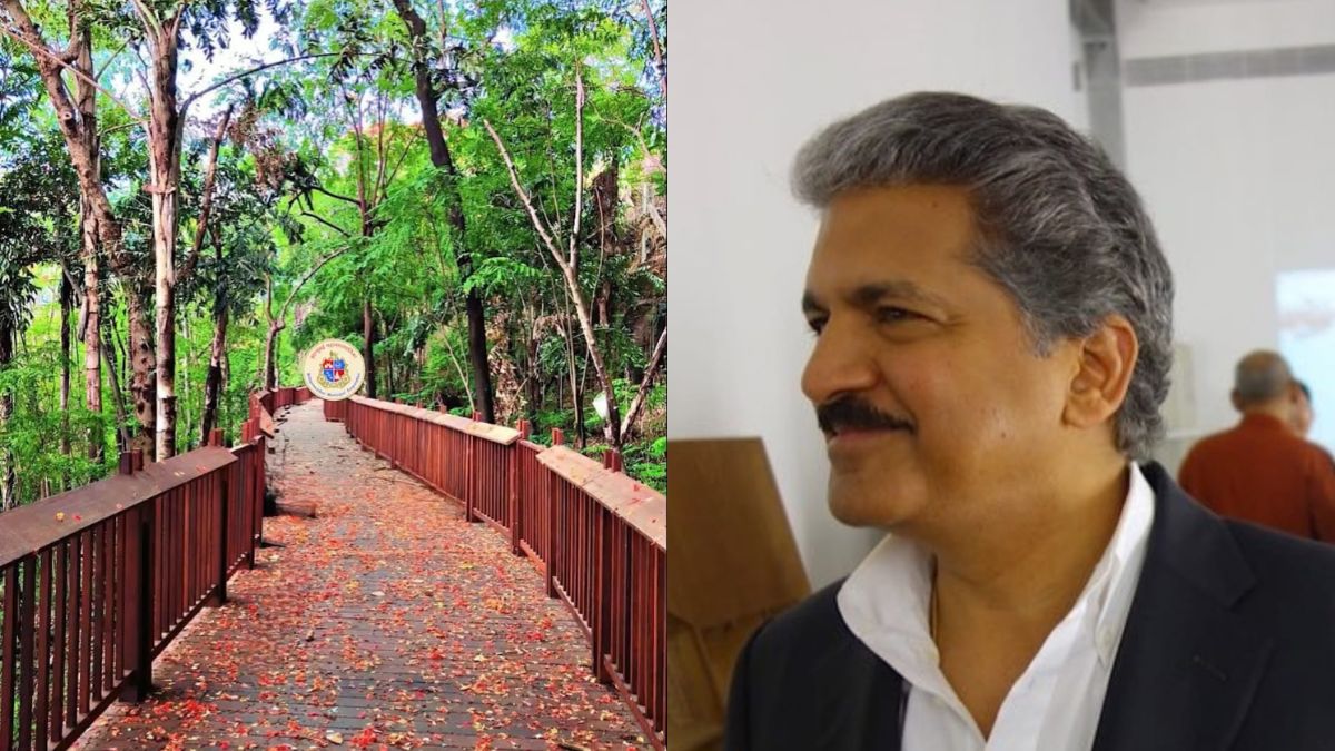 "I Know I Will Visit," Anand Mahindra Appreciates Mumbai's First Elevated Nature Trail