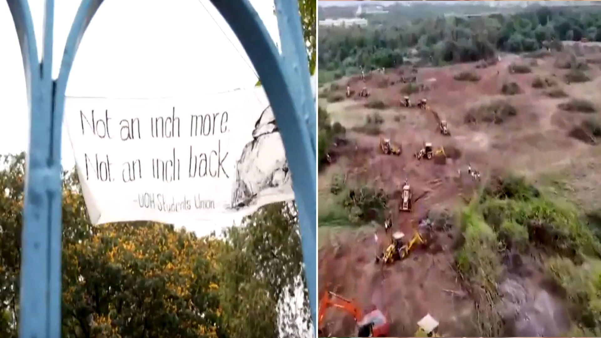 Tree-Cutting Near UoH Campus Triggers Row: Students Announce Indefinite Protest