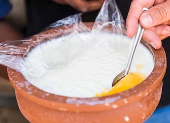 Storing Dahi Wrong? Here Is How You Are Killing Its Good Bacteria
