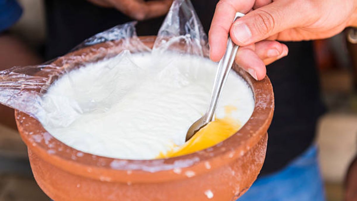 Storing Dahi The Wrong Way? Here's How You Are Killing Its Good Bacteria