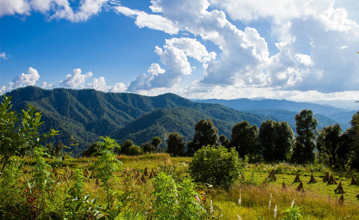 Binsar. Photo: Unsplash