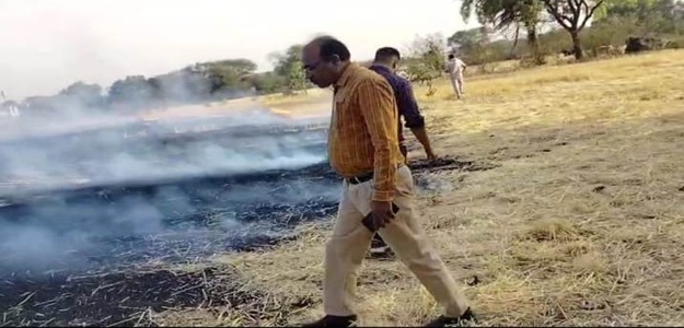 310 किसानों पर 10 लाख रुपए का जुर्माना, गुना में नरवाई जलाने वालों पर सरकार की सख्ती