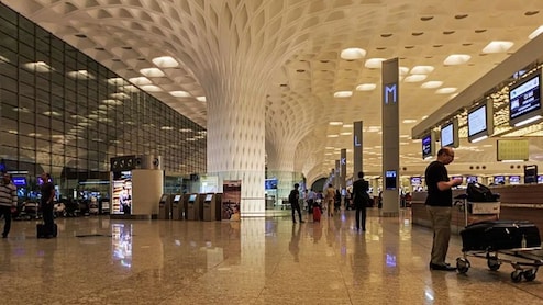 Passenger Arrested With 67 Exotic Animals At Mumbai Airport