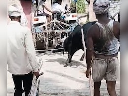 On Camera: Bull Tied To Tractor, Pulled To Death In UP
