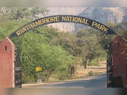 Rajasthan: रणथंभौर में बाघ के बच्चे पर हमले के बाद श्रद्धालुओं के लिए खुले त्रिनेत्र गणेश मंदिर के रास्ते, लेकिन यह अब भी रहेगा बंद 