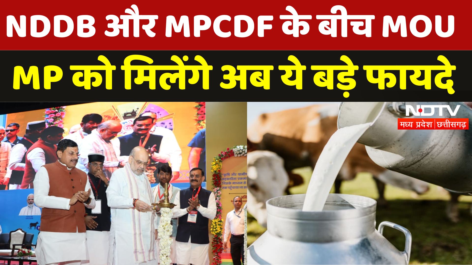 NDDB और MPCDF के बीच हुई ये बड़ी Deal, MP को मिलेंगे ये बड़े फायदे | Bhopal | CM Mohan | Amit Shah