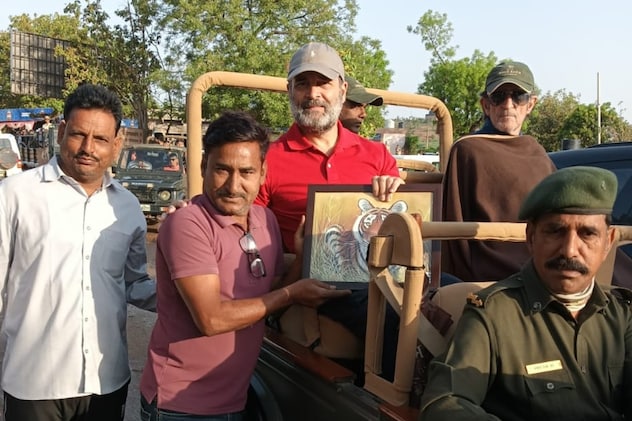 कांग्रेस कार्यकर्ता ने राहुल गांधी को टाइगर की तस्वीर भेंट की. कांग्रेस कार्यकर्ता ने राहुल गांधी को टाइगर की तस्वीर भेंट की.