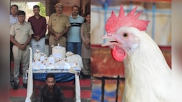 Rajasthan: पुलिस ने मुर्गी फार्म पर छापा मारा तो रह गई दंग, 5 करोड़ की क़ीमत का मिला यह मादक पदार्थ